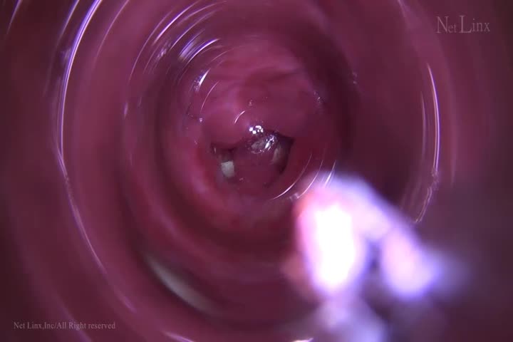 凌辱の极 秘内部映像特集　part1