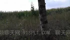 小姨子带我钻树林