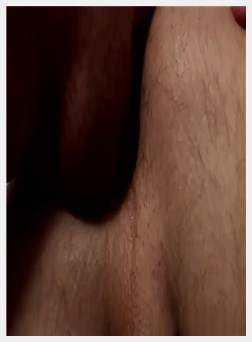 暨大公鸡丹森热和恩佐布鲁姆锤男孩