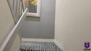 Big Ass Latina MILF Tempts her Neighbor to Break her Ass