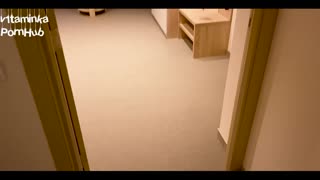 I went to a stranger's room and gave him a show