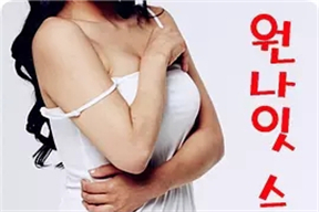 与女神同行 원나잇스탠드 (2017)