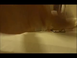 老婆通话：'老婆,有人在吃我鸡巴', '我不信!','不信照片发给你看'