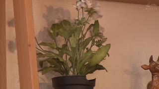 繼父不知道我跟母親有染 中村知惠 SPRD-1233