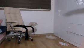 한국 KBJ 사과 06