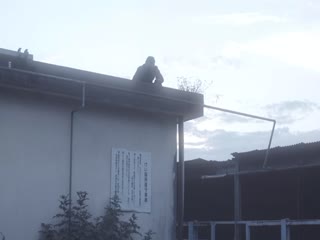 机甲女神之究极神兵中文字幕