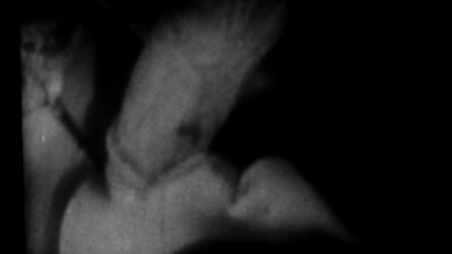 1960 “s复古色情蜜月”；69英寸；找到自制的录像