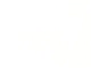 书生气的性指导