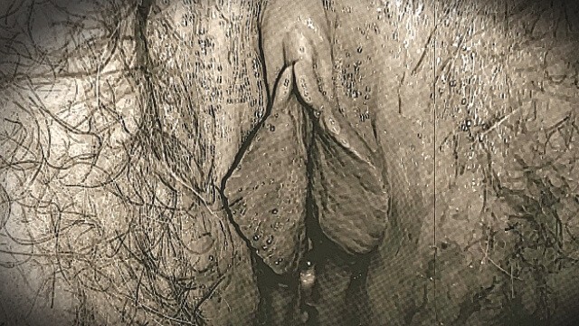 少女自慰。令人呻吟的高潮。小便。20世纪40年代的葡萄酒。