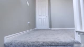 满足统治欲望的礼物