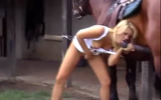 “女人给马口交使用嘴来使动物的鸡巴快乐